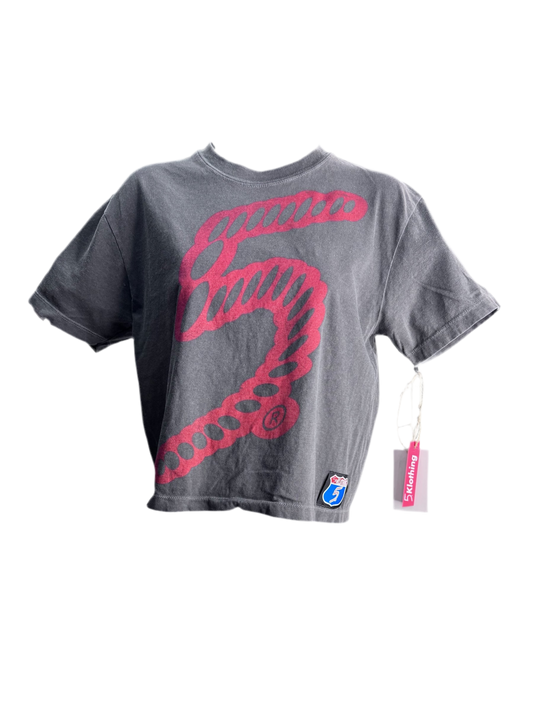 Big 5 Racing T Shirt (Women's)